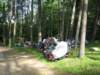 picture037_small.jpg