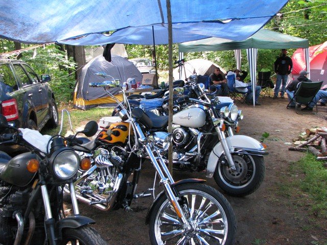 img_0461.jpg