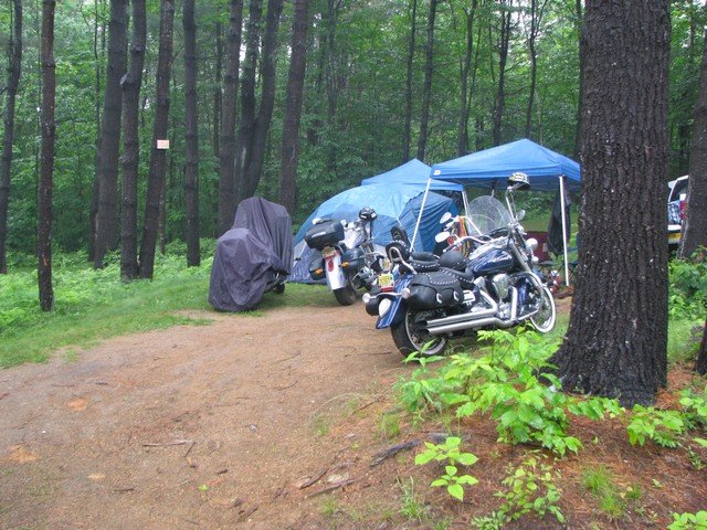 img_1549.jpg