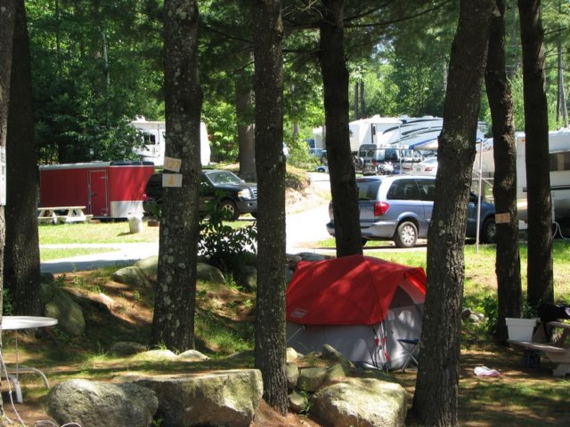 img_2945.jpg