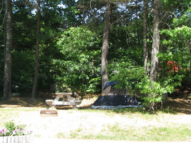 img_2948.jpg