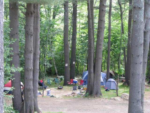 img_2972.jpg