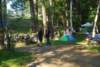 dsc_3170_small.jpg