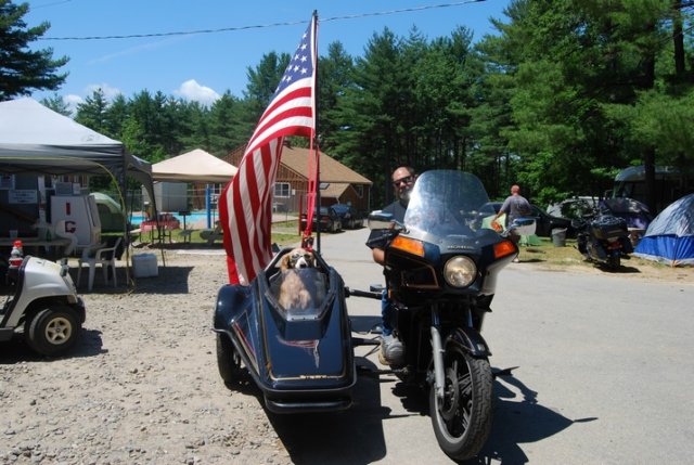 dsc_3203.jpg