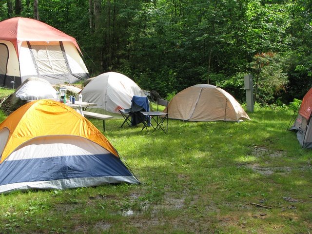img_7029.jpg